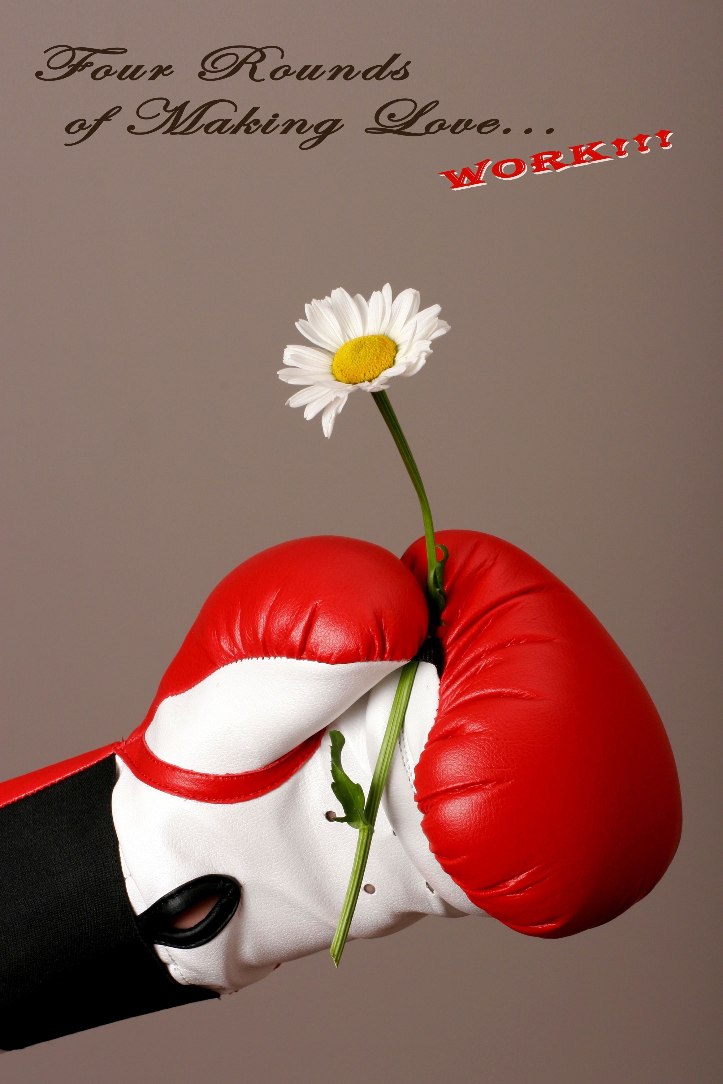 Boxing Glove and Daisy Title